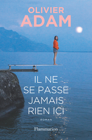 Il Ne Se Passe Jamais Rien Ici De Olivier Adam Editions Flammarion