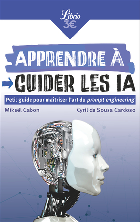 Apprendre à guider les IA de Cyril de Sousa Cardoso Mikaël Cabon