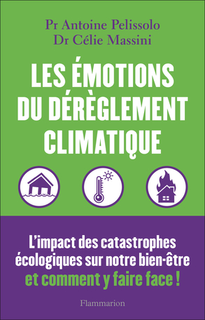 Les émotions du dérèglement climatique de Célie Massini, Antoine Pelissolo  - Editions Flammarion