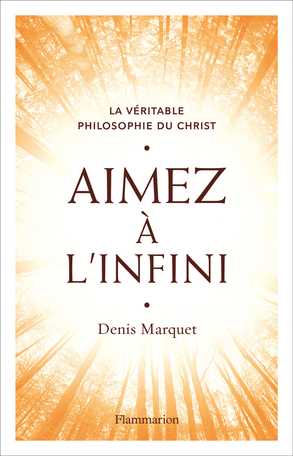 Aimez A L Infini De Denis Marquet Editions Flammarion