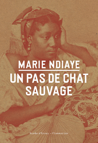 Un pas de chat sauvage de Marie NDiaye - Editions Flammarion