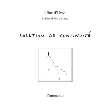 Solution de continuité