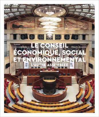 Le Conseil économique, social et environnemental