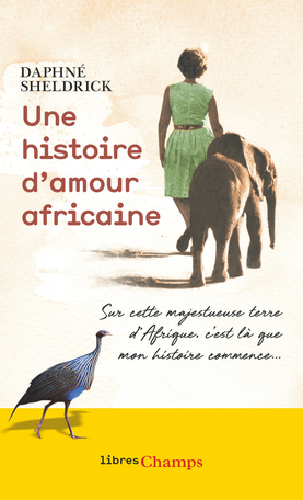 Une histoire d’amour africaine