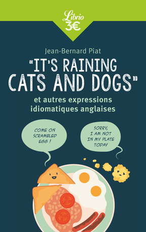 «It's raining cats and dogs» et autres expressions idiomatiques anglaises