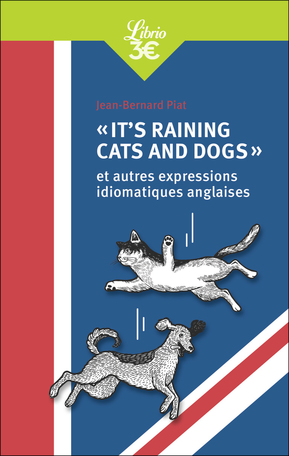 « It's raining cats and dogs » et autres expressions idiomatiques anglaises
